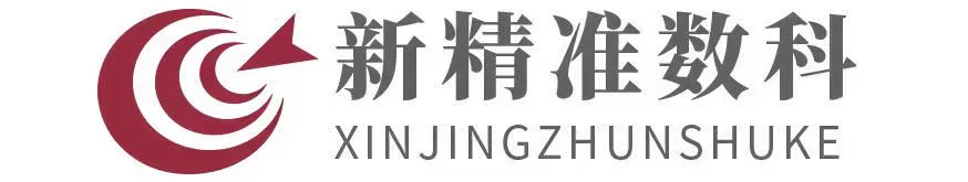 武汉新精准数字科技有限公司